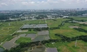 Có nên bán hết đất ở quê để mua chung cư TP HCM?