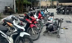 Trộm 20 xe máy trong nửa tháng