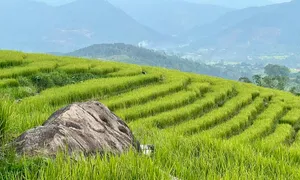 Lý do Bình Liêu khó hút khách Tây như Sa Pa